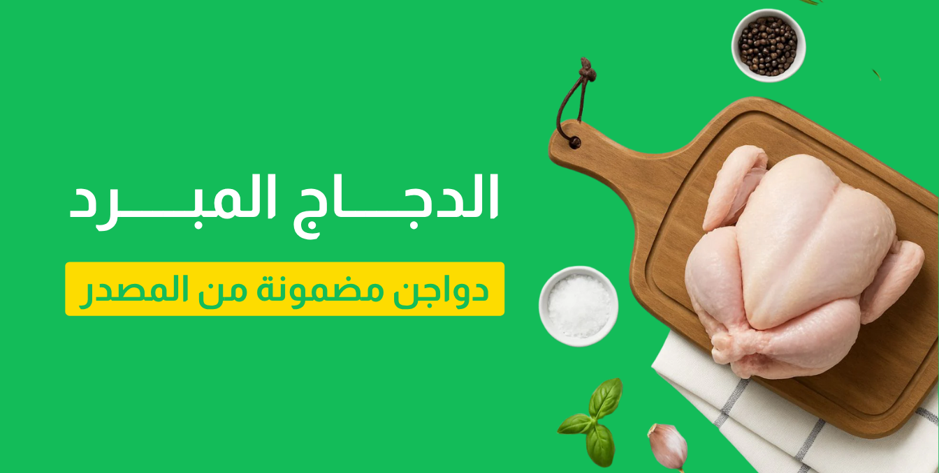 الدجاج مبرد