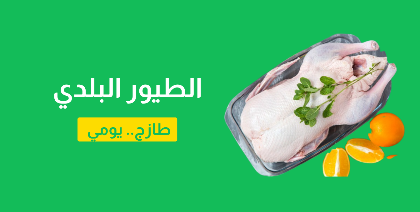 طيور بلدي