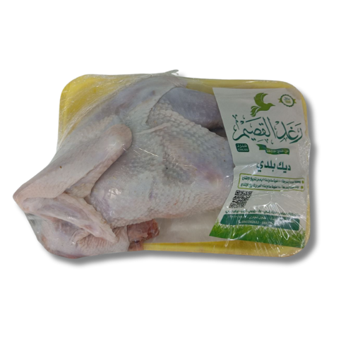 ديك بلدي شامورت 600/699جرام