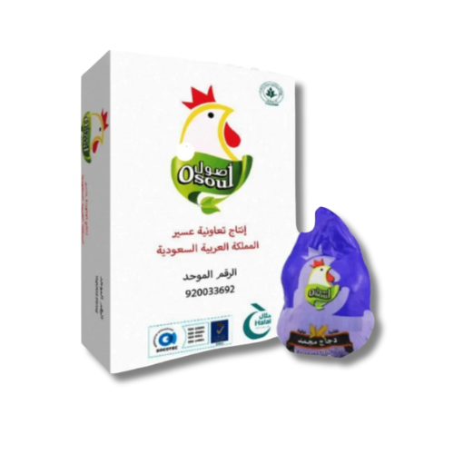 كرتون دجاج اصول مجمد 600 - 1300 جرام - 10 حبات